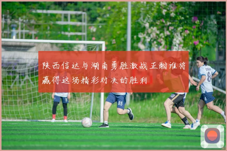 陕西信达与湖南勇胜激战正酣谁将赢得这场精彩对决的胜利