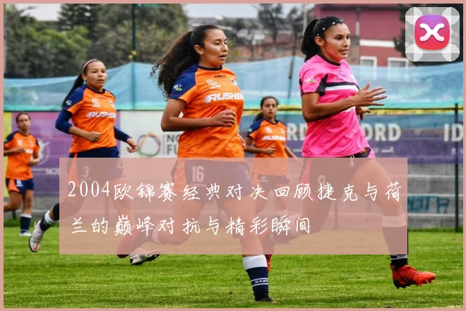2004欧锦赛经典对决回顾捷克与荷兰的巅峰对抗与精彩瞬间