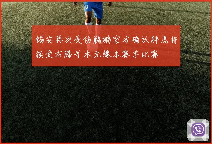 锡安再次受伤鹈鹕官方确认胖虎将接受右膝手术无缘本赛季比赛