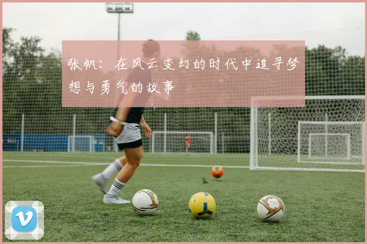 张帆：在风云变幻的时代中追寻梦想与勇气的故事