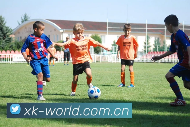 App Interface Preview